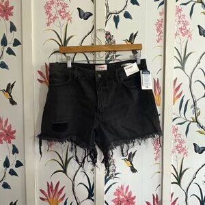 Wrangler Women's Black Distressed Jean Shorts